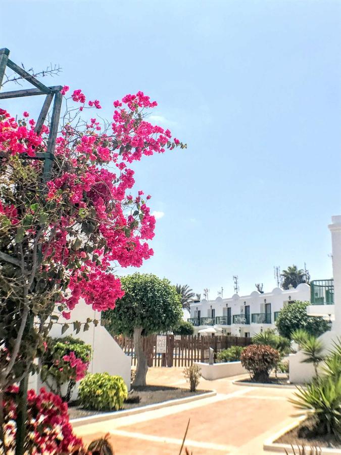 Armonia Pool View & Wi-fi By Irent Fuerteventura Appartement Corralejo